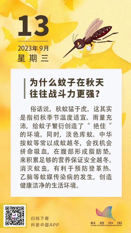 为什么蚊子在秋天往往战斗力更强？