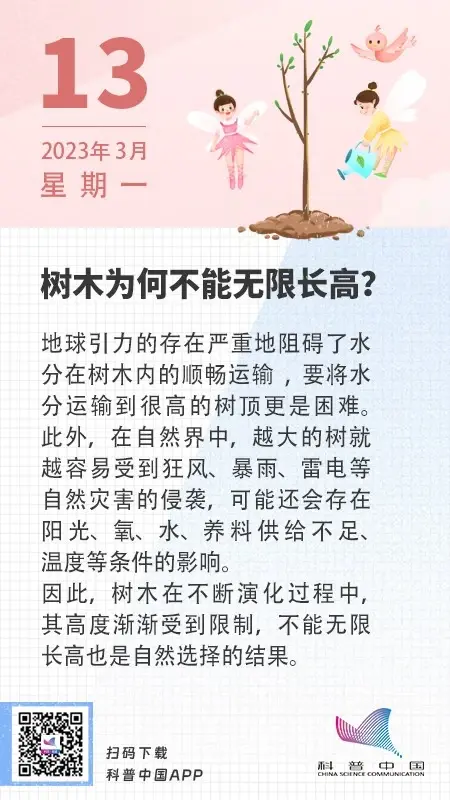 树木为何不能无限长高？